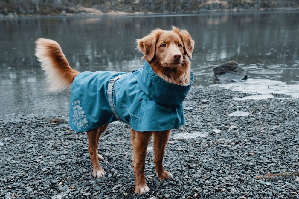 Hurtta Monsoon Coat Dog Bilberry 30cm