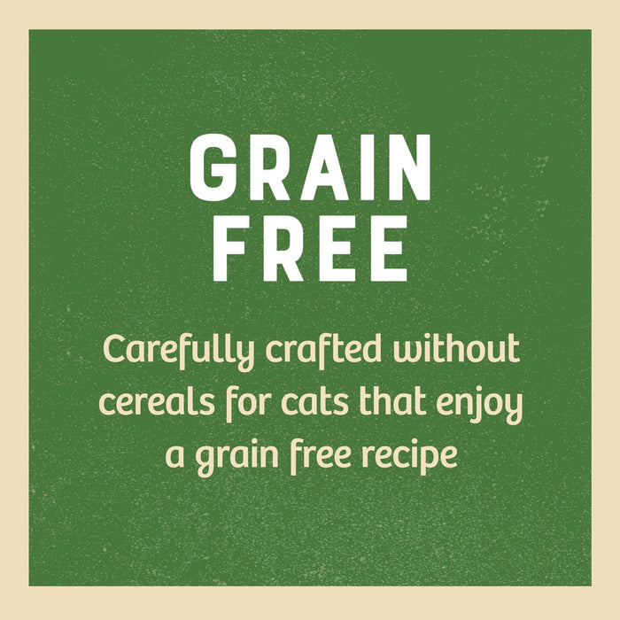James Wellbeloved Grain Free Adult Turkey Wet Cat Food in Gravy 12 x 85g