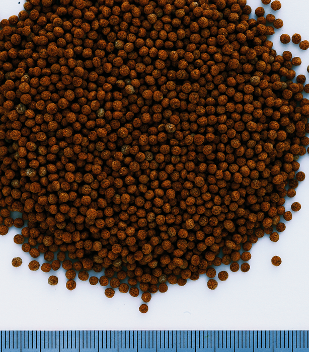 Tetra Goldfish Granules Fish Food