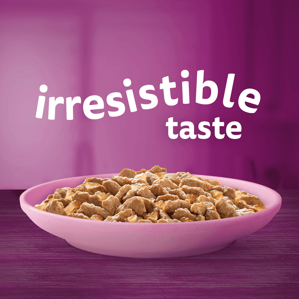 Whiskas Kitten 2-12 Months Poultry Feasts in Jelly Wet Kitten Food 12 x 85g