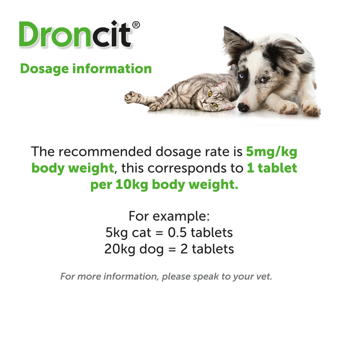 Droncit Tapewormer For Cats & Dogs 1 Tablets