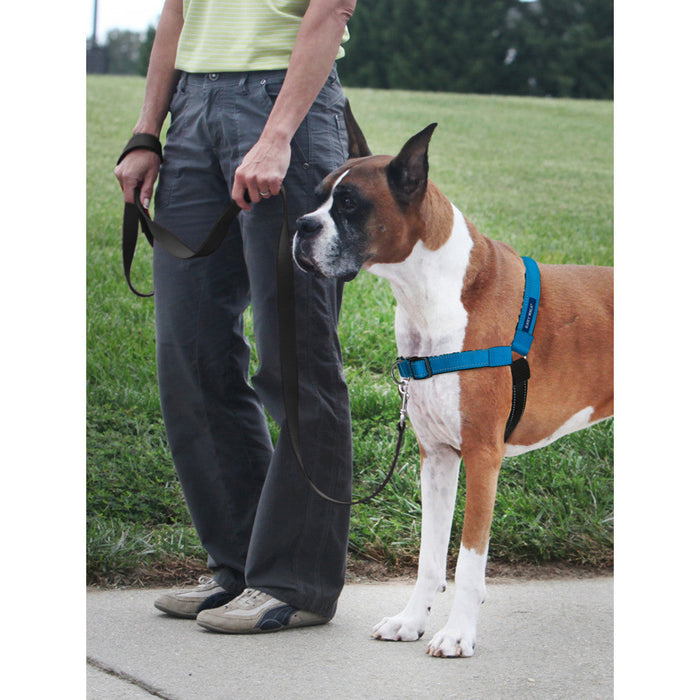 Petsafe Easy Walk Deluxe Harness Ocean Blue