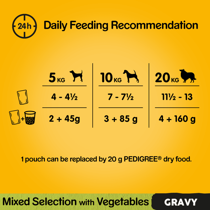 Pedigree Mixed Selection with in Gravy Wet Dog Food 40 x 100g