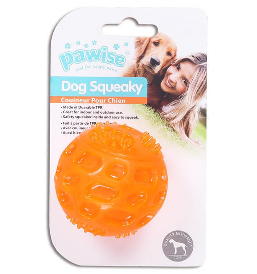 Pawise Squeaky Ball Dog Toy