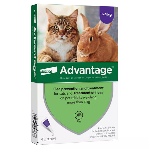 Advantage 80 Spot On Flea Control Large Cats and Rabbits (>4kg) - 4 Pack