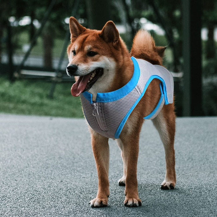 All For Paws Chill Out Cooling Vest Extra Large