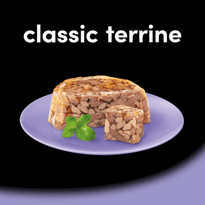 Cesar Classic Terrine with Juicy Lamb & Chicken in Jelly Wet Dog Food 150g
