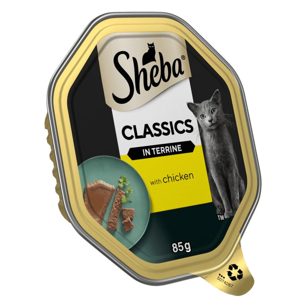 Sheba Classics Adult Chicken in Terrine Wet Cat Food 85g