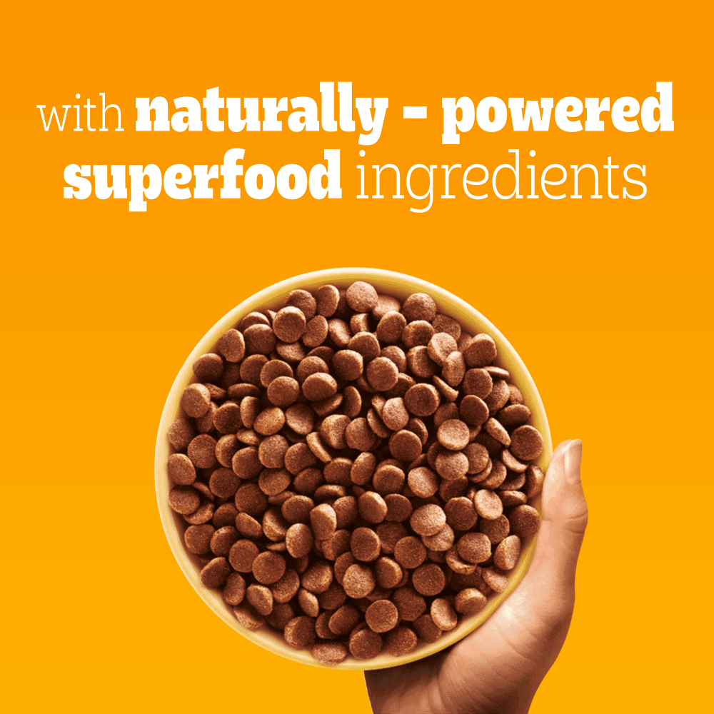 Pedigree Complete Adult Small Poultry and Vegetables Dry Dog Food 3kg