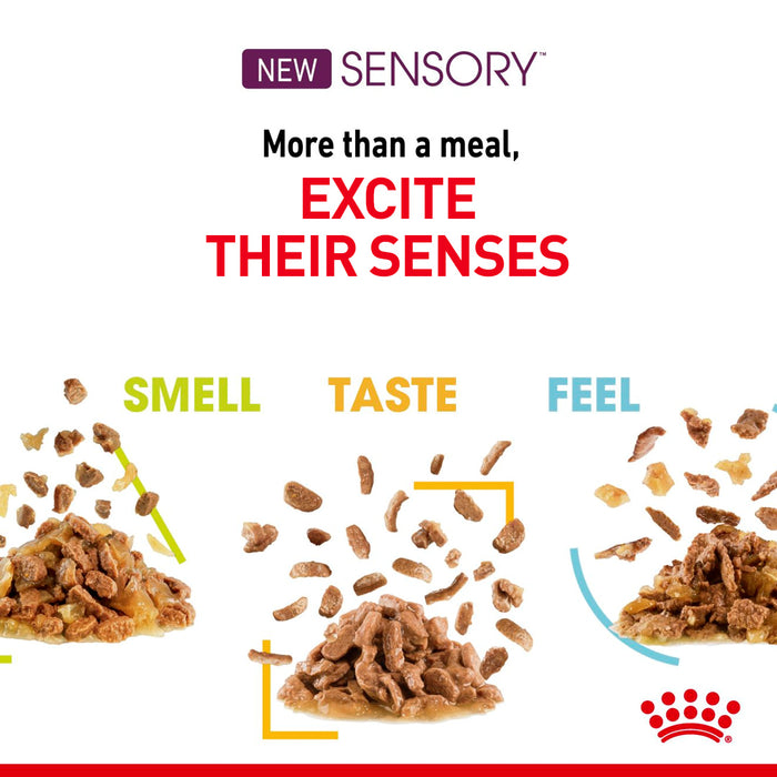 Royal Canin Adult Sensory Smell Taste Feel Chunks In Gravy Multipack 12 x 85g