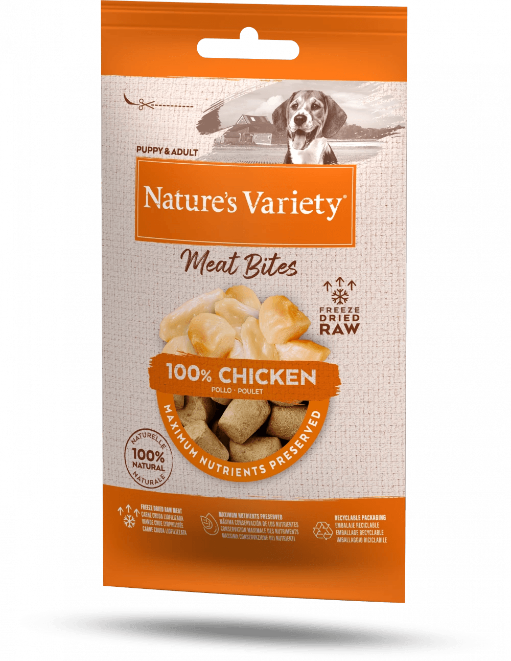 Nature's Variety Freeze Dried Meat Bites 100% Chicken For Puppy and Adult Dogs 20g