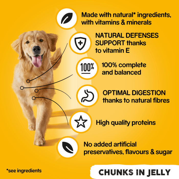 Pedigree Chunks in Jelly Adult Wet Dog Food 6 x 400g