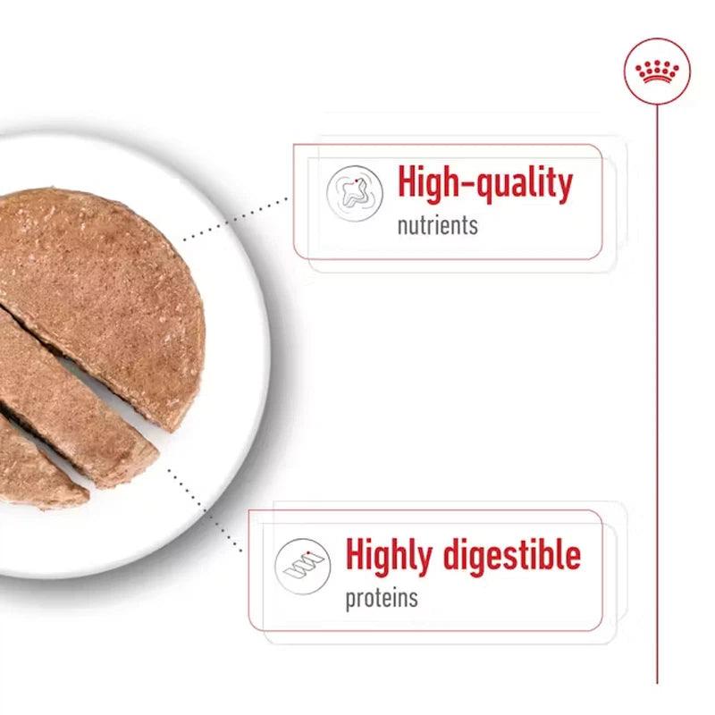 Royal Canin Maxi Adult Wet Dog Food In Loaf Cans 12 x 410g