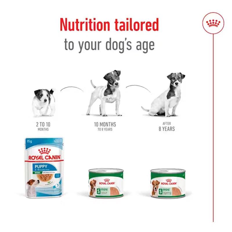 Royal Canin Mini Ageing 8+ Wet Dog Food In Loaf Cans 12 x 195g