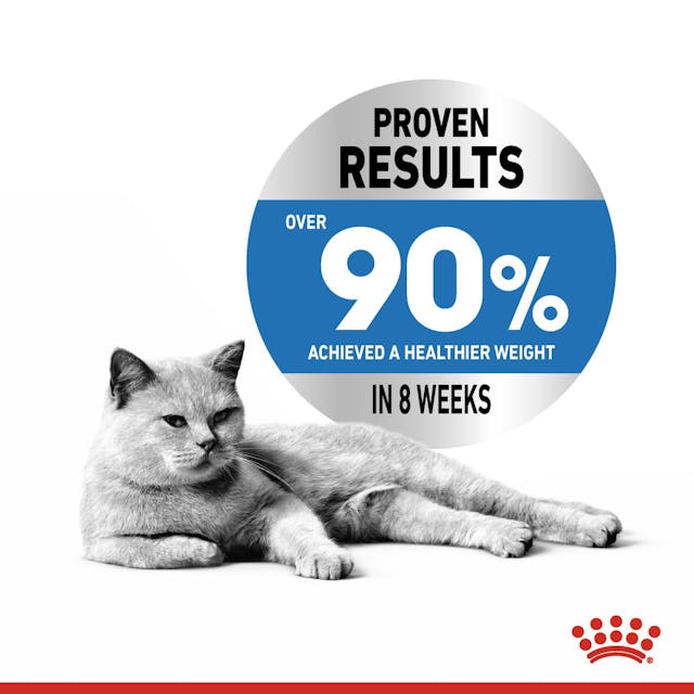 Royal Canin Light Weight Care Cat Food 8kg
