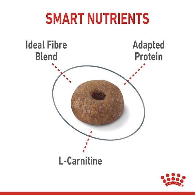 Royal Canin Light Weight Care Cat Food 8kg