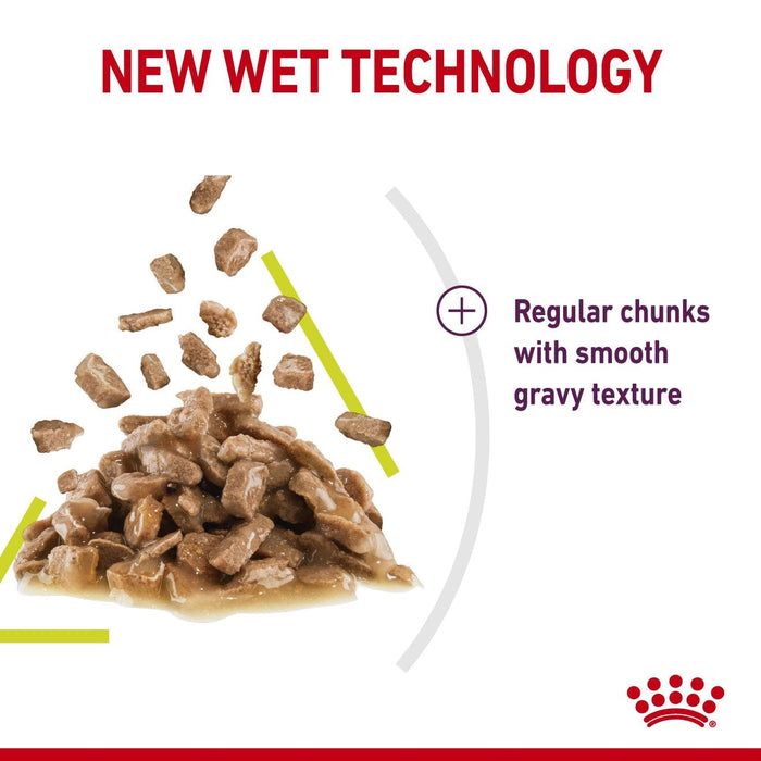 Royal Canin Adult Sensory Smell Chunks In Gravy Wet Cat Food