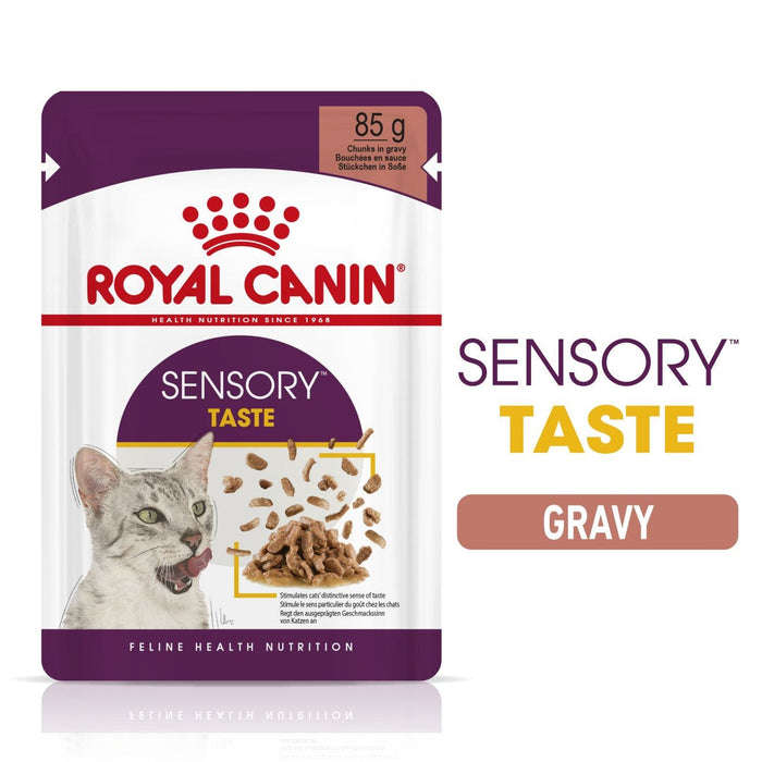 Royal Canin Adult Sensory Taste Chunks In Gravy Wet Cat Food