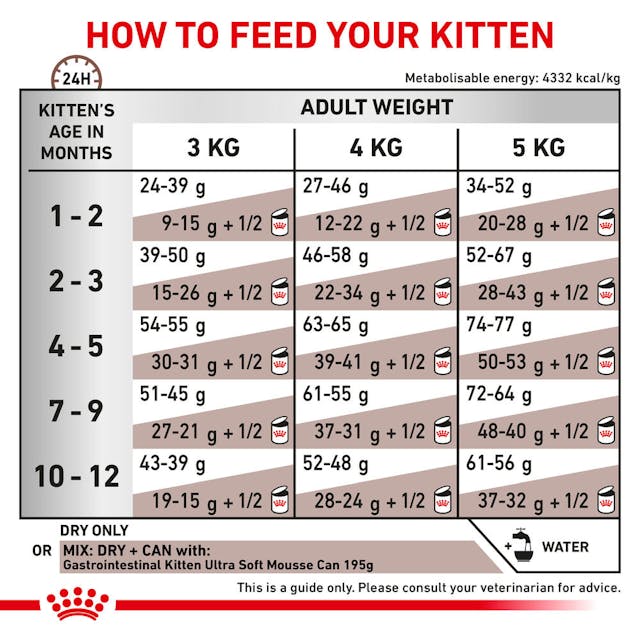 Royal Canin Gastrointestinal Dry Kitten Food 2kg