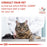 Royal Canin Veterinary Renal Special Dry Cat Food 2kg