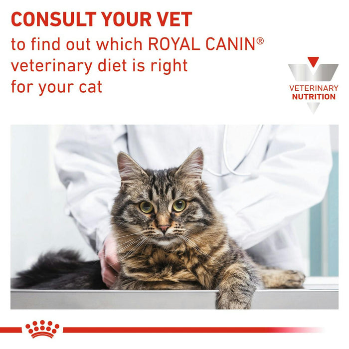 Royal Canin Renal Loaf Wet Cat Food