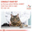 Royal Canin Veterinary Renal Select Dry Cat Food