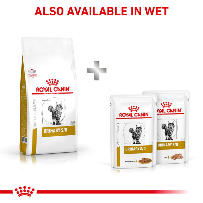 Royal Canin Urinary S/O Dry Cat Food