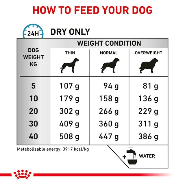 Royal Canin Veterinary Anallergenic Dry Dog Food 3kg