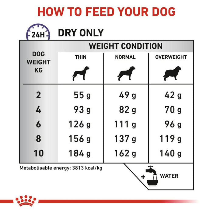 Royal Canin Dental Small Dry Dog Food 3.5kg