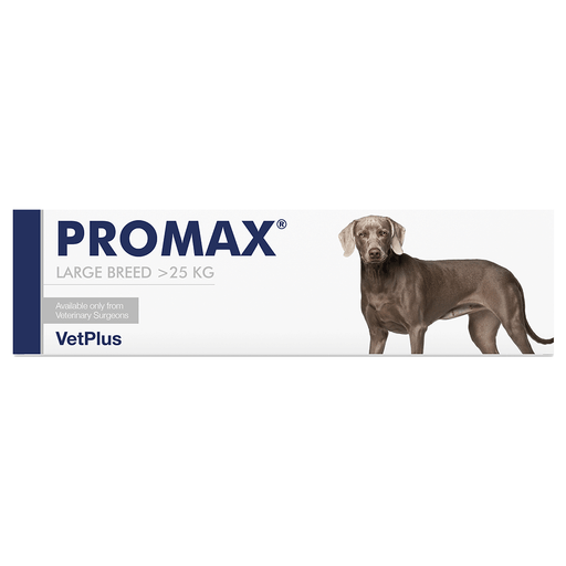 VetPlus Promax for Intestinal Problems in Large Dogs 30ml