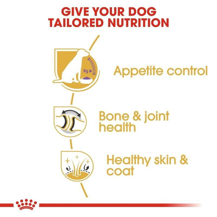 Royal Canin Adult Labrador Retriever Sterilised Dry Dog Food 12 kg