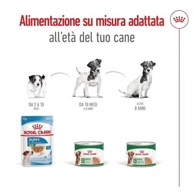 Royal Canin Mini Adult Wet Dog Food In Loaf Cans 12 x 195g