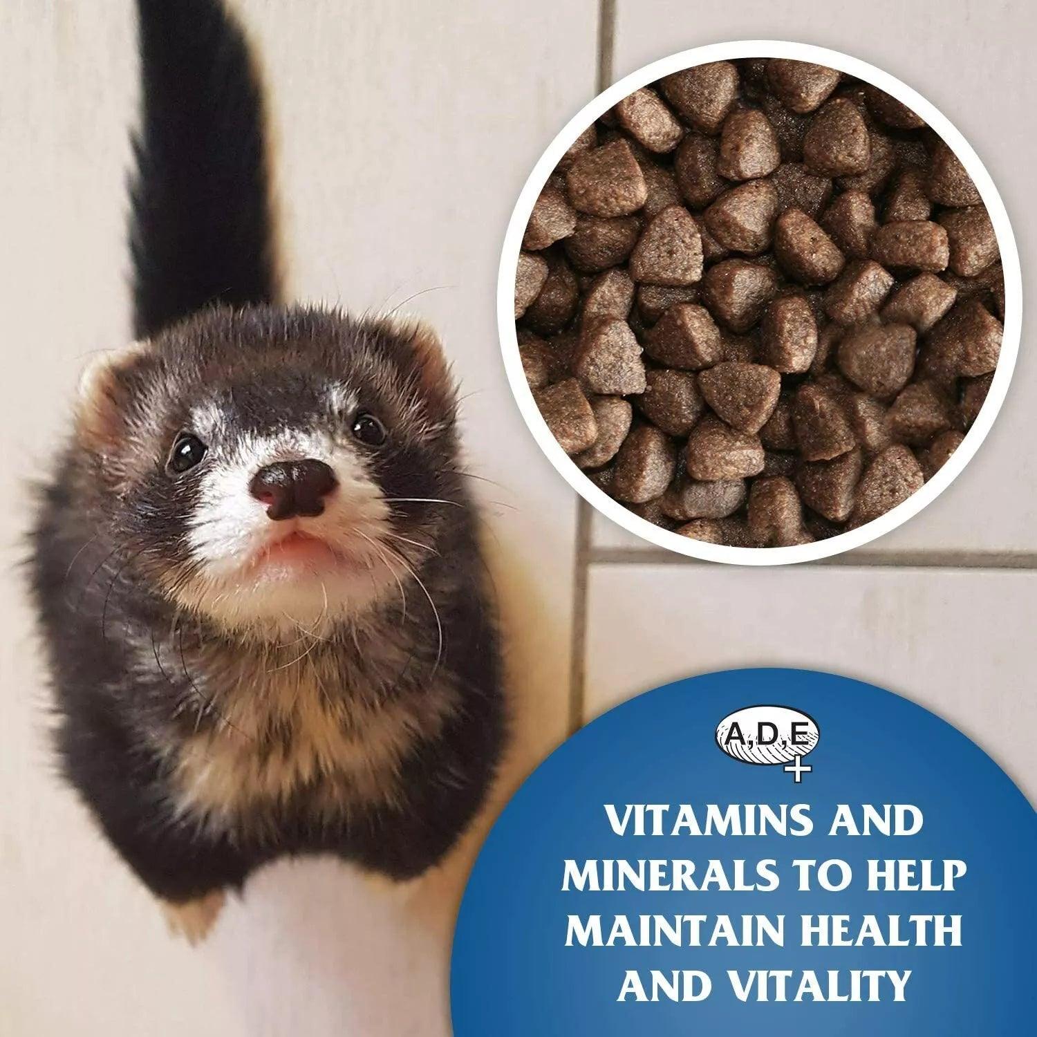 Dr John Merlin Chicken Dry Ferret Food 10kg