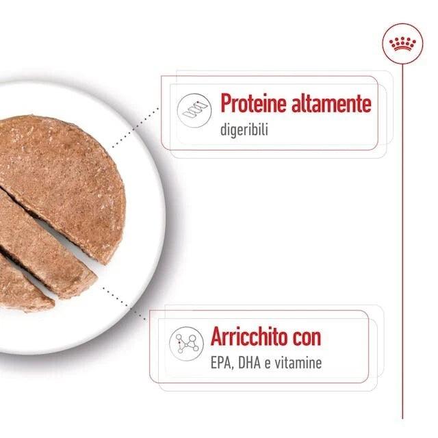 Royal Canin Maxi Ageing 5+ Senior Wet Dog Food In Loaf Cans 12 x 410g