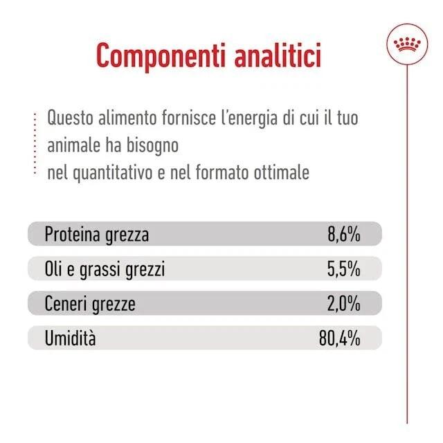 Royal Canin Mini Adult Wet Dog Food In Loaf Cans 12 x 195g