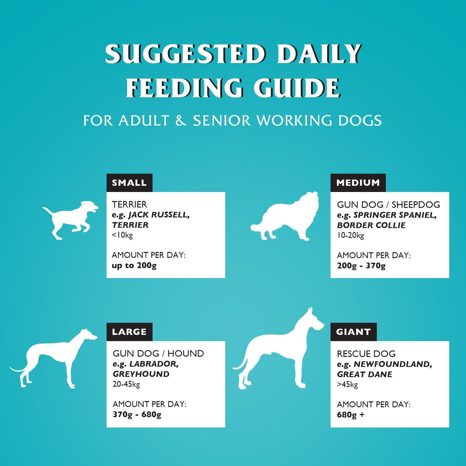 Dr John Flake with Chicken Dry Dog Food 15kg