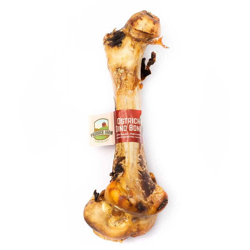 Antos Ostrich Dino Bone Large