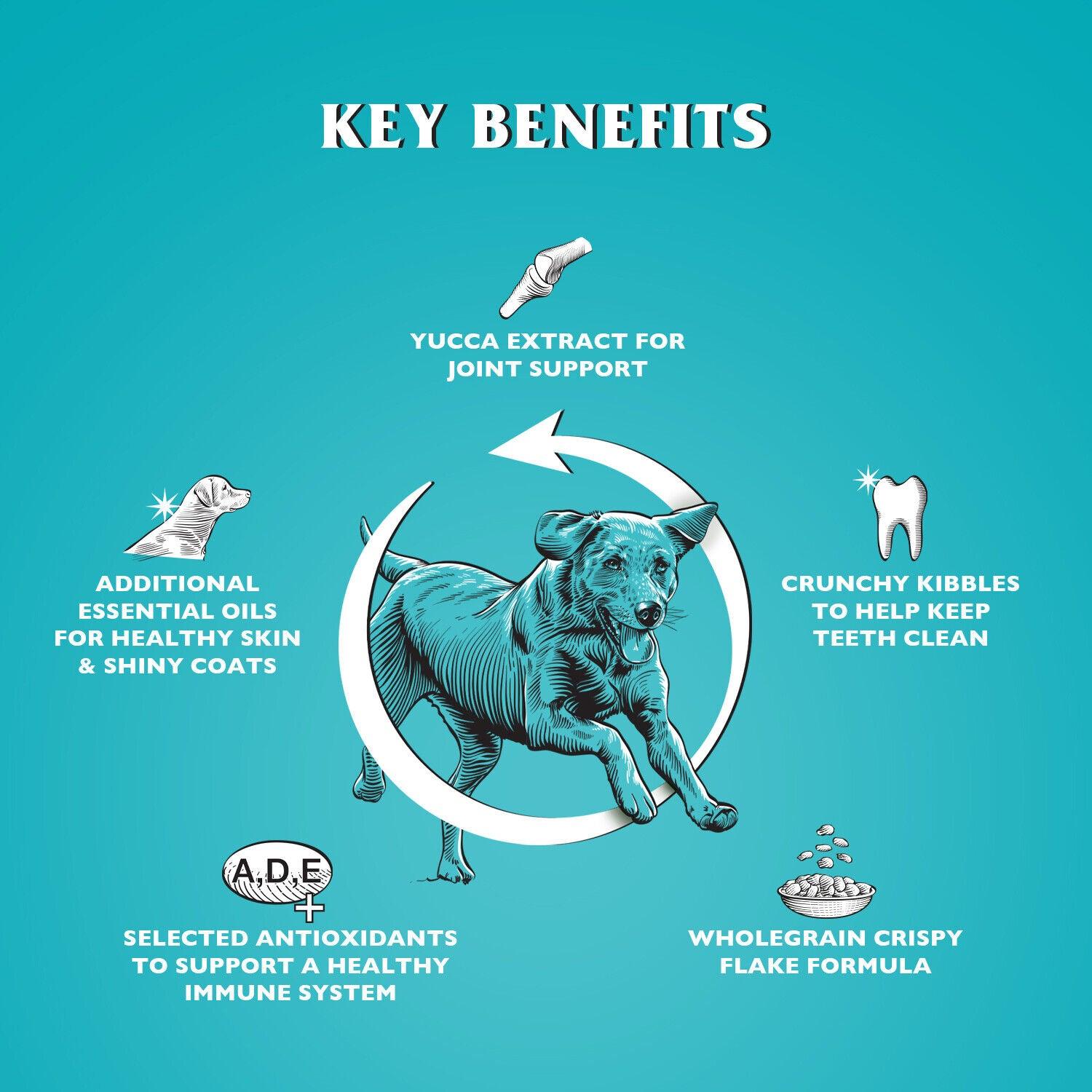 Dr John Flake with Chicken Dry Dog Food 15kg