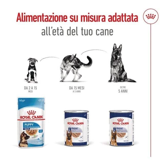 Royal Canin Maxi Ageing 5+ Senior Wet Dog Food In Loaf Cans 12 x 410g