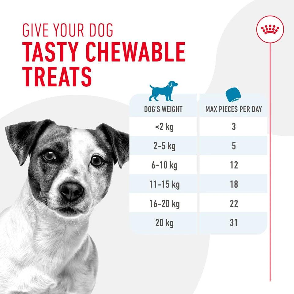 Royal Canin Training Treats Low Calorie Tasty Chews Vitamins C & E 110g
