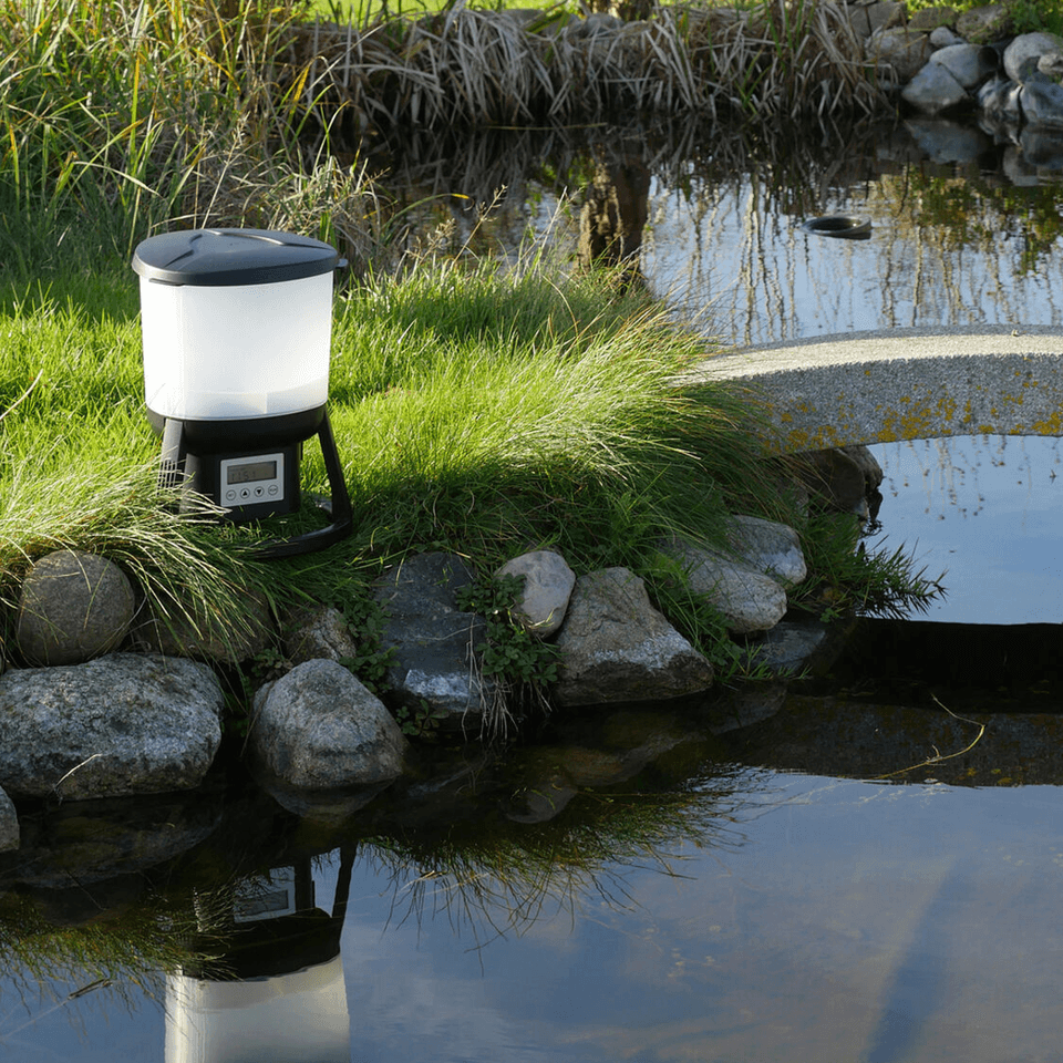 Evolution Aqua EVO Feed Automatic Feeder