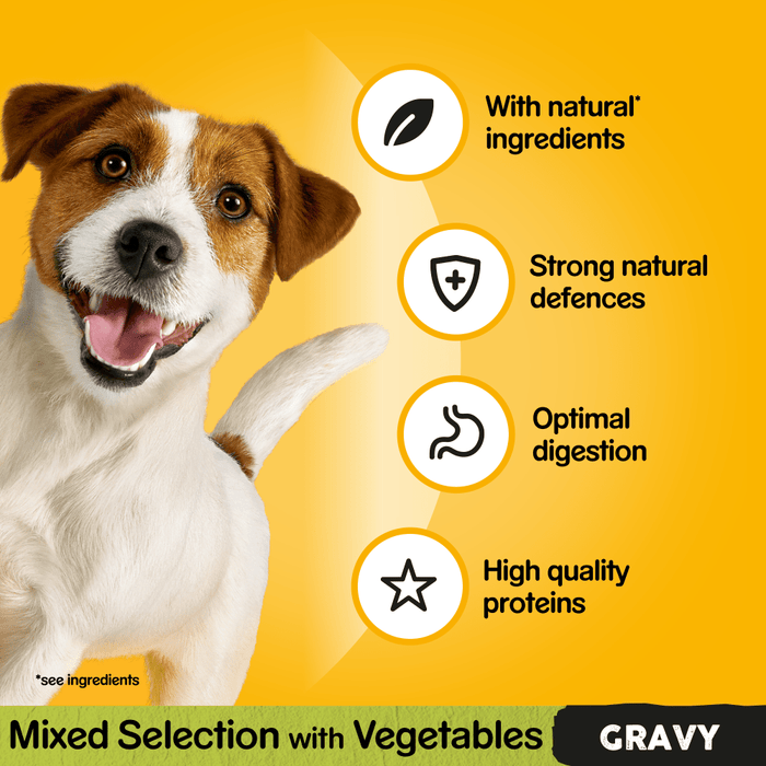 Pedigree Mixed Selection with in Gravy Wet Dog Food 40 x 100g