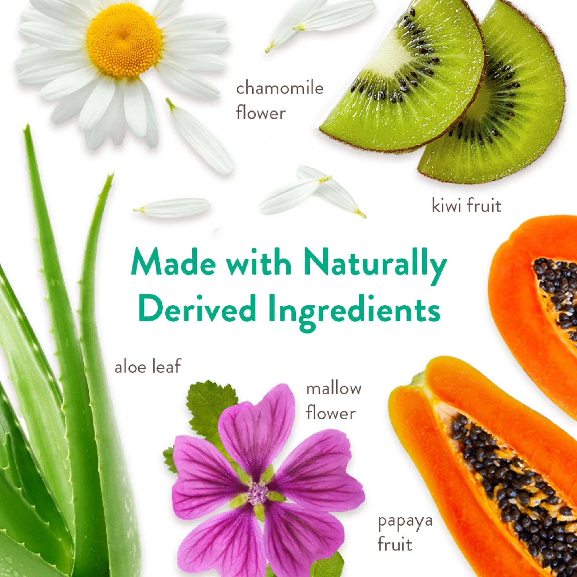 TropiClean Papaya & Coconut Luxury 2 in 1 Dog & Cat Shampoo & Conditioner