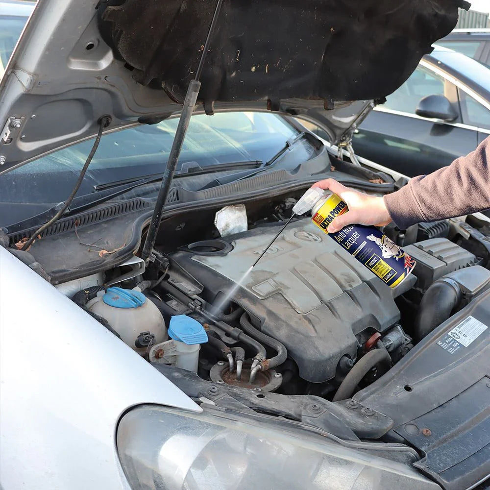 The Big Cheese Ultra Power Anti Rodent Lacquer – 500ml Dual Action Aerosol.