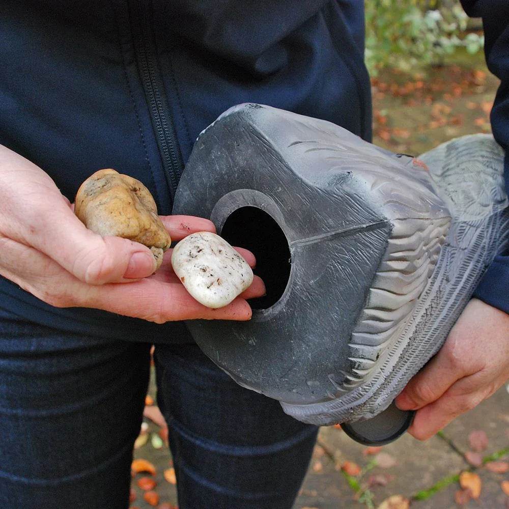 The Big Cheese Falcon Decoy