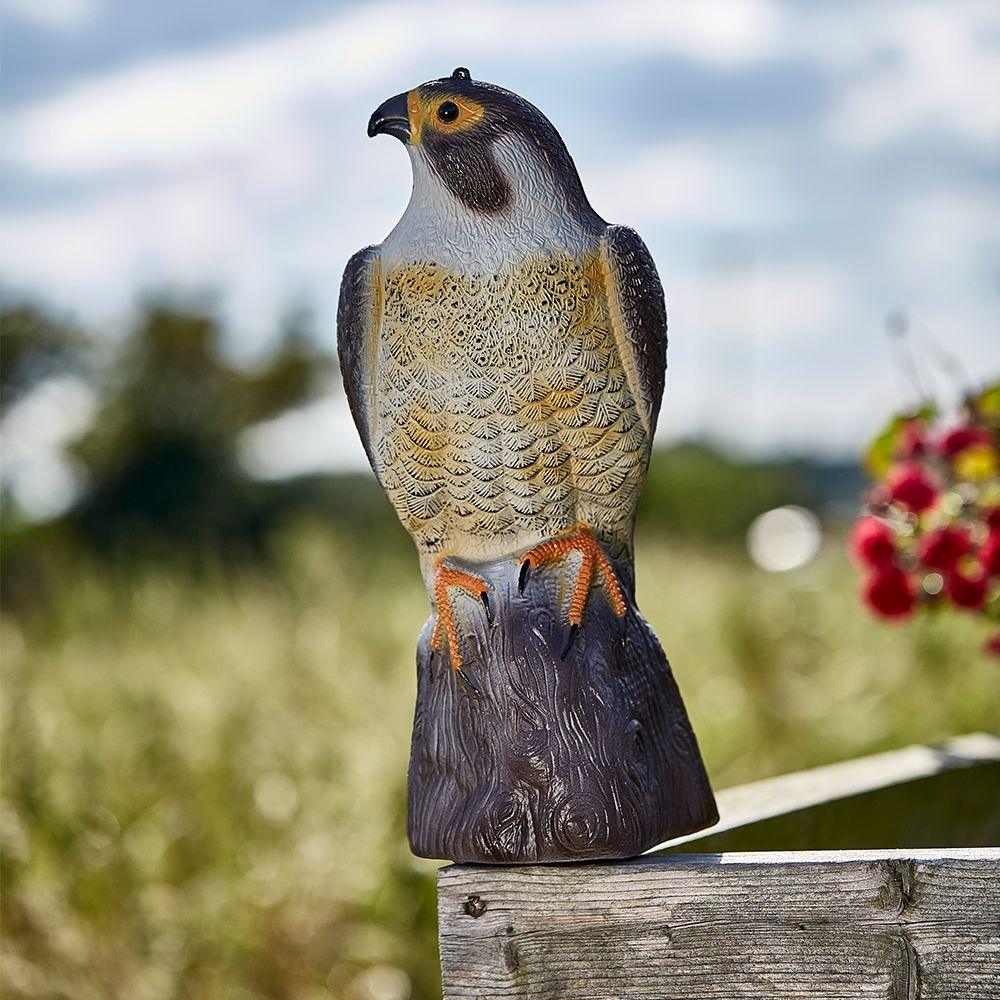 The Big Cheese Falcon Decoy