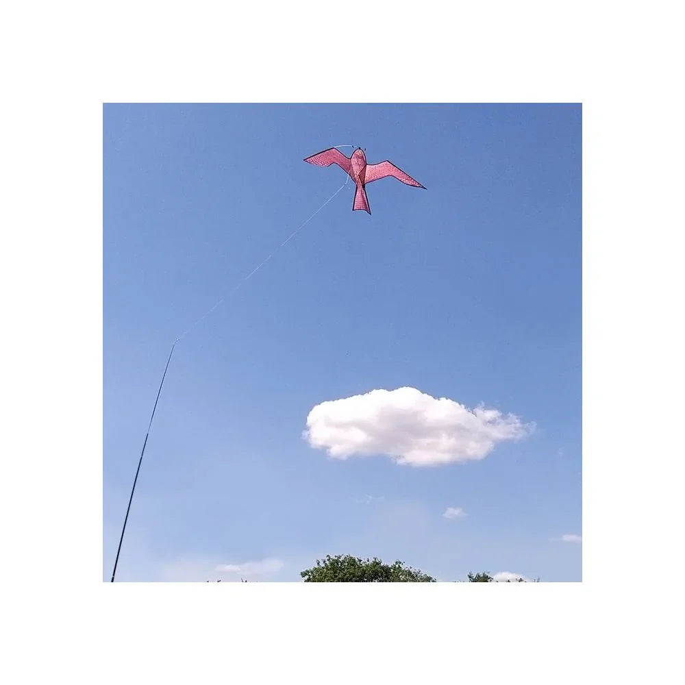 The Big Cheese Hawk Kite Bird Scarer