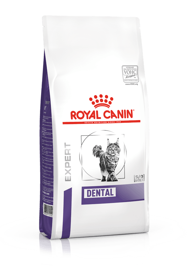 Royal Canin Dental Dry Cat Food 3kg