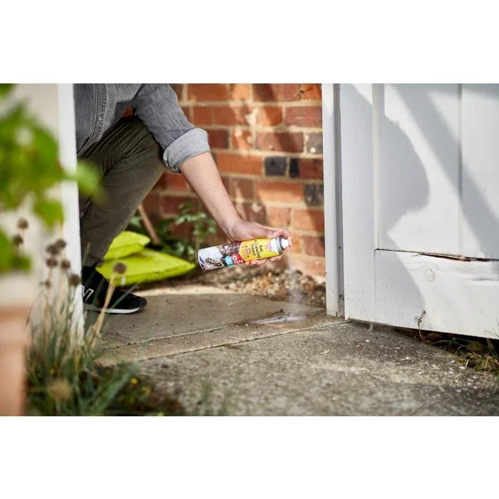 Zero In Ant & Crawling Insect Killer Aerosol 300ml