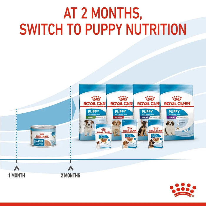 Royal Canin Mother & Babydog Starter Ultra Soft Mousse Wet Dog Food 195g